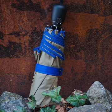 
                                            Les parapluies essentiels
                                    