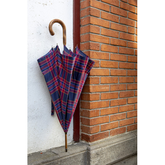 Parapluie Homme L'élégant