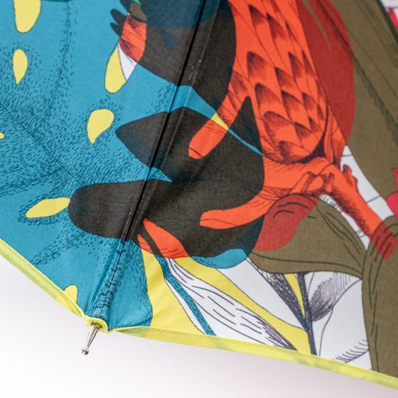 Parapluie femme canne PARADISE