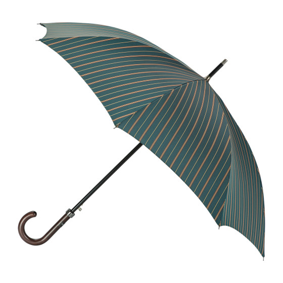 Parapluie Canne Automatique Homme Galway Vert