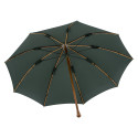 Parapluie de Berger Vert