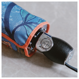 Parapluie femme pliant BATIK FAR WEST côté