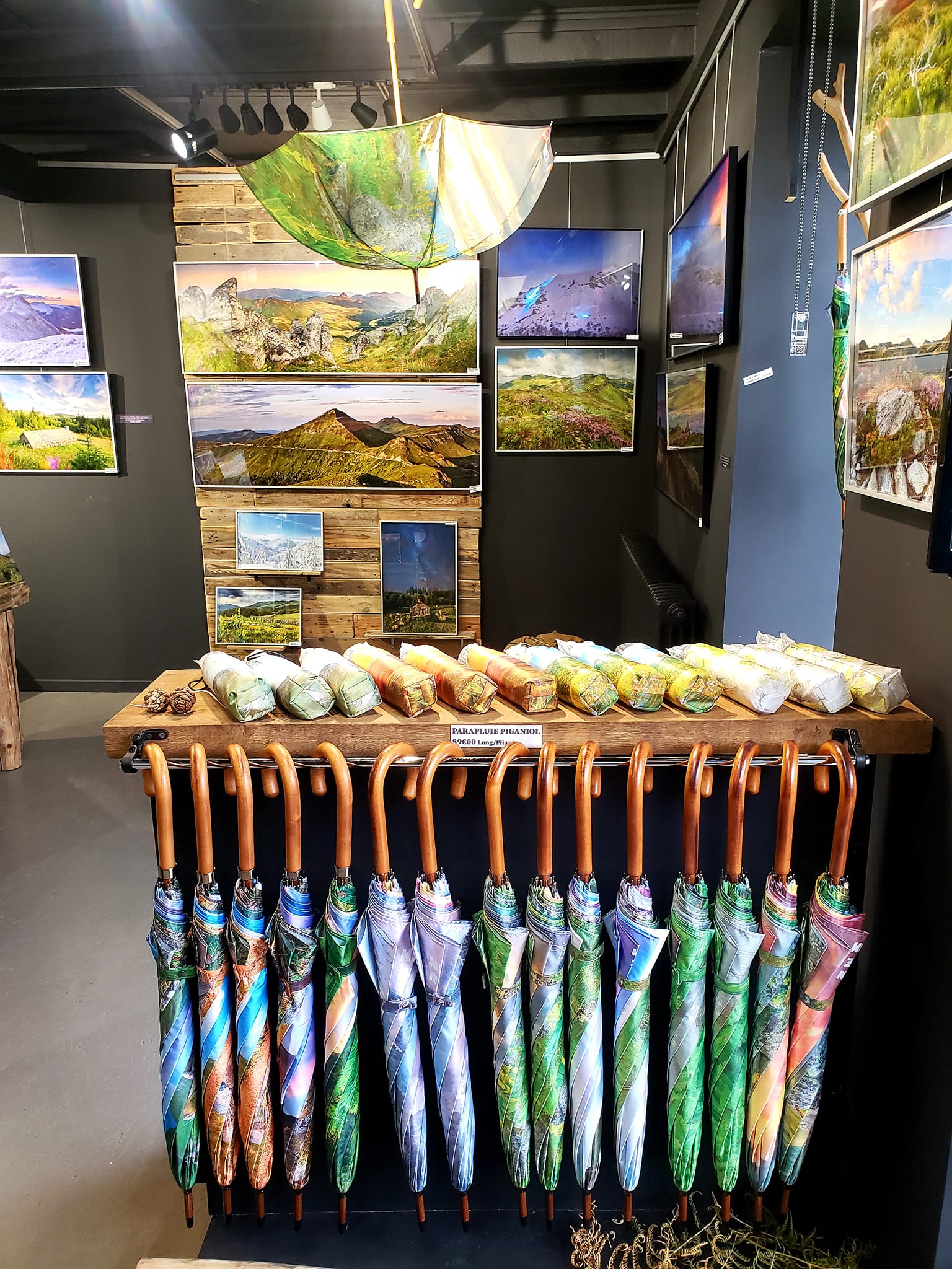 Galerie de Jeremy et Marie Savel